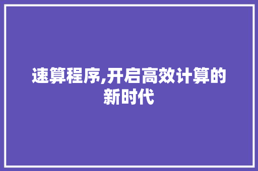 速算程序,开启高效计算的新时代 必应SEO