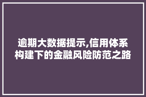逾期大数据提示,信用体系构建下的金融风险防范之路