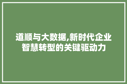 道顺与大数据,新时代企业智慧转型的关键驱动力
