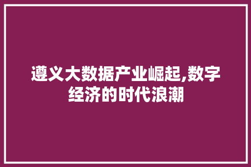 遵义大数据产业崛起,数字经济的时代浪潮