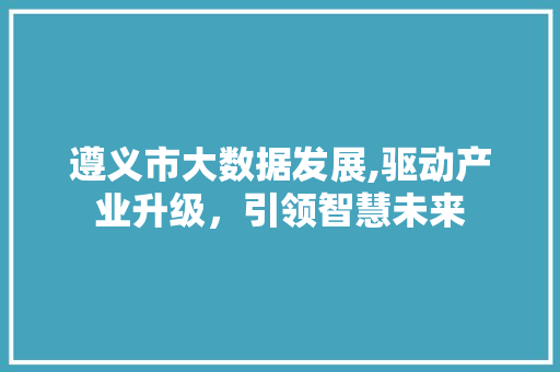 遵义市大数据发展,驱动产业升级，引领智慧未来