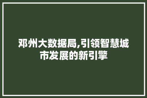 邓州大数据局,引领智慧城市发展的新引擎