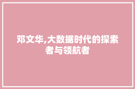 邓文华,大数据时代的探索者与领航者