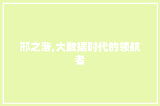 邢之浩,大数据时代的领航者
