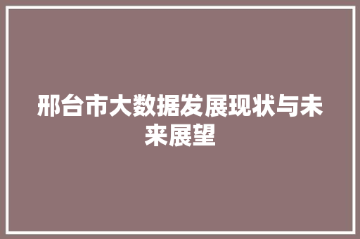 邢台市大数据发展现状与未来展望