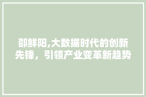 邵鲜阳,大数据时代的创新先锋，引领产业变革新趋势