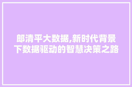 郎清平大数据,新时代背景下数据驱动的智慧决策之路