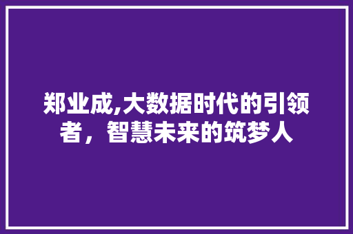 郑业成,大数据时代的引领者，智慧未来的筑梦人