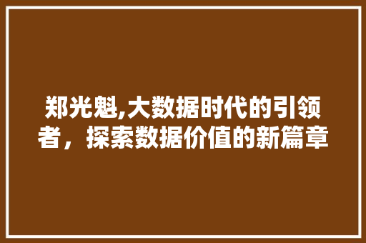 郑光魁,大数据时代的引领者，探索数据价值的新篇章