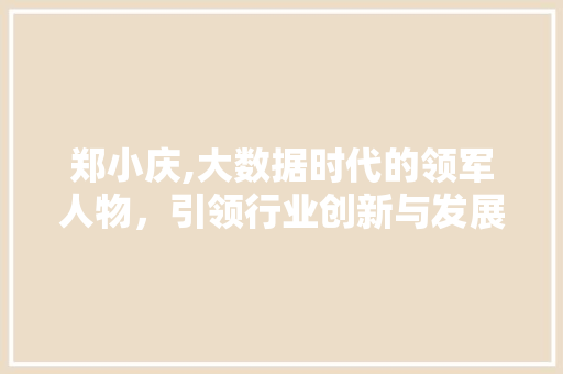 郑小庆,大数据时代的领军人物，引领行业创新与发展