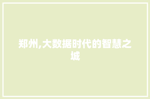 郑州,大数据时代的智慧之城