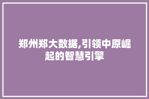 郑州郑大数据,引领中原崛起的智慧引擎