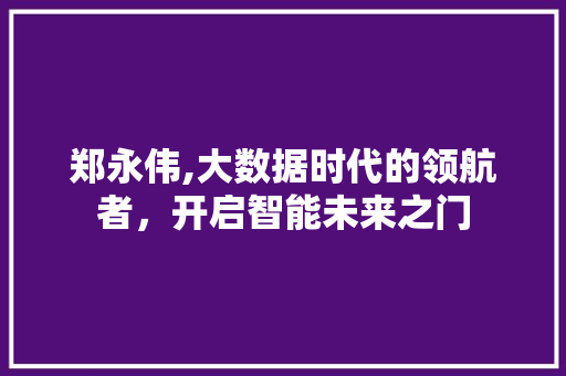 郑永伟,大数据时代的领航者，开启智能未来之门 百度SEO