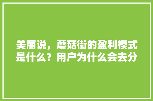 美丽说，蘑菇街的盈利模式是什么？用户为什么会去分享「为什么蘑菇街禁止访问」