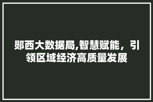 郧西大数据局,智慧赋能，引领区域经济高质量发展