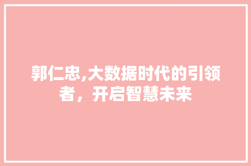 郭仁忠,大数据时代的引领者，开启智慧未来