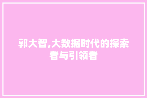 郭大智,大数据时代的探索者与引领者