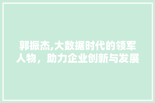 郭振杰,大数据时代的领军人物，助力企业创新与发展 搜狗SEO
