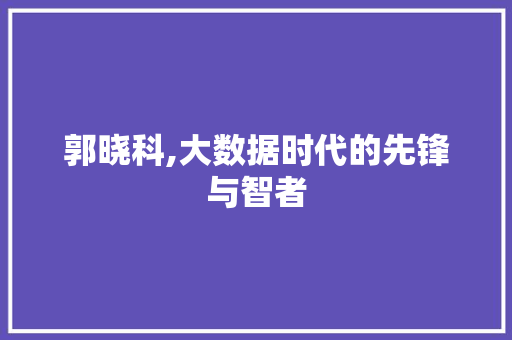 郭晓科,大数据时代的先锋与智者