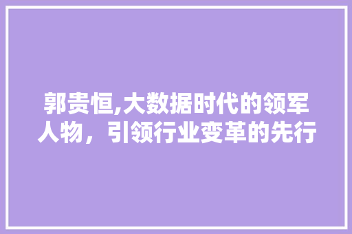 郭贵恒,大数据时代的领军人物，引领行业变革的先行者 百度SEO