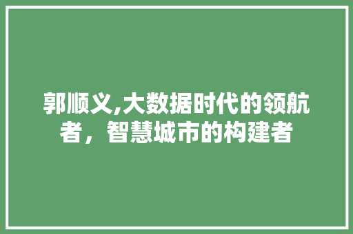 郭顺义,大数据时代的领航者，智慧城市的构建者