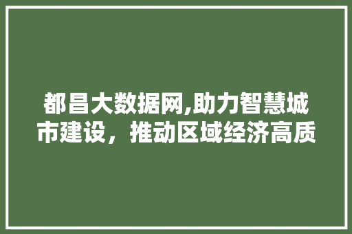 都昌大数据网,助力智慧城市建设，推动区域经济高质量发展 必应SEO