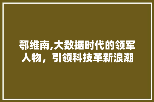 鄂维南,大数据时代的领军人物，引领科技革新浪潮 必应SEO