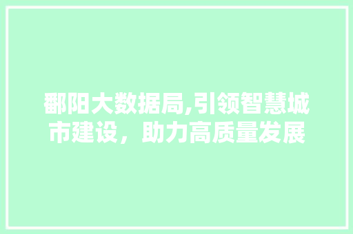鄱阳大数据局,引领智慧城市建设，助力高质量发展 搜狗SEO