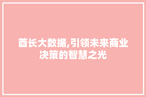 酋长大数据,引领未来商业决策的智慧之光