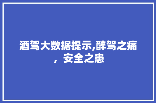 酒驾大数据提示,醉驾之痛，安全之患