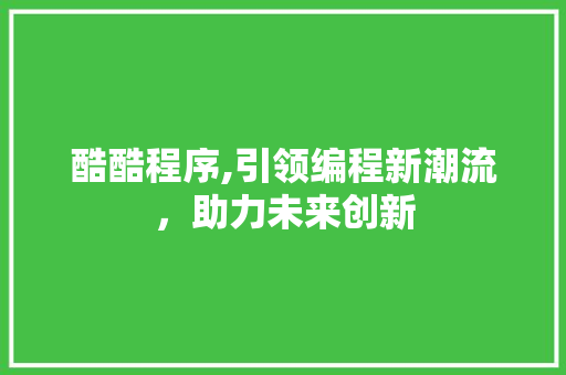 酷酷程序,引领编程新潮流，助力未来创新 百度SEO