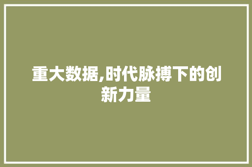 重大数据,时代脉搏下的创新力量