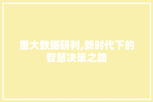 重大数据研判,新时代下的智慧决策之路 百度SEO