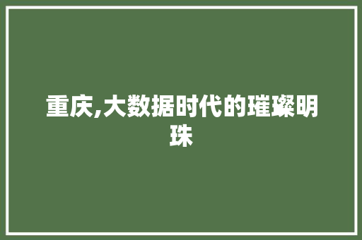 重庆,大数据时代的璀璨明珠
