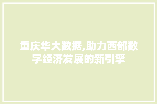 重庆华大数据,助力西部数字经济发展的新引擎 百度SEO