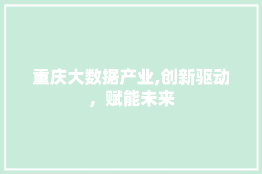 重庆大数据产业,创新驱动，赋能未来 百度SEO
