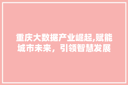 重庆大数据产业崛起,赋能城市未来，引领智慧发展 百度SEO
