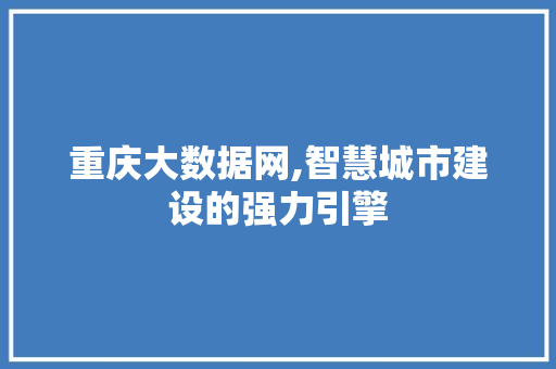 重庆大数据网,智慧城市建设的强力引擎