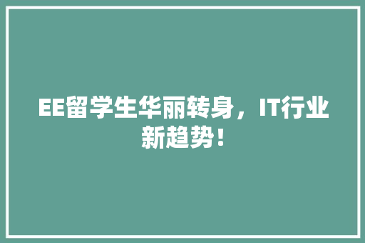 EE留学生华丽转身，IT行业新趋势！ 神马SEO