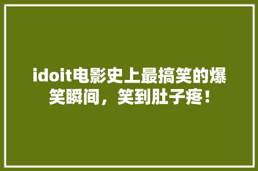 idoit电影史上最搞笑的爆笑瞬间，笑到肚子疼！