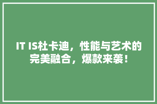 IT IS杜卡迪，性能与艺术的完美融合，爆款来袭！