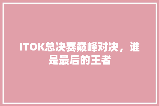 ITOK总决赛巅峰对决，谁是最后的王者 必应SEO