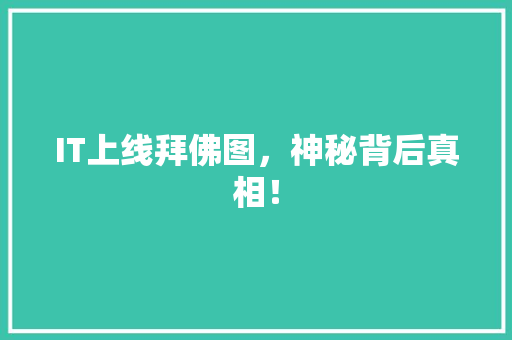 IT上线拜佛图，神秘背后真相！ 神马SEO