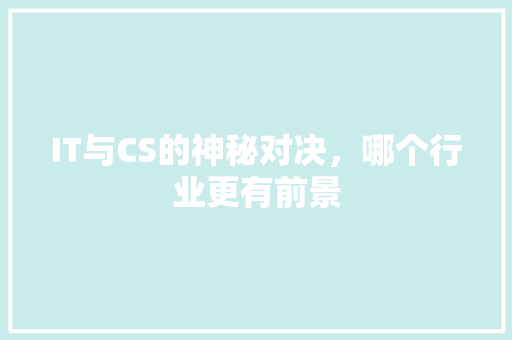 IT与CS的神秘对决，哪个行业更有前景 GoogleSEO