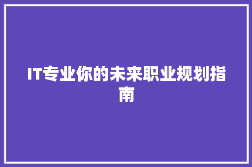 IT专业你的未来职业规划指南 GoogleSEO