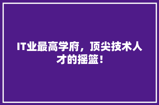 IT业最高学府，顶尖技术人才的摇篮！ 神马SEO