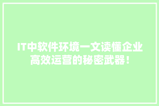IT中软件环境一文读懂企业高效运营的秘密武器！ 神马SEO