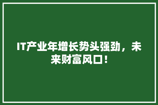 IT产业年增长势头强劲，未来财富风口！