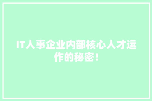 IT人事企业内部核心人才运作的秘密！ 神马SEO