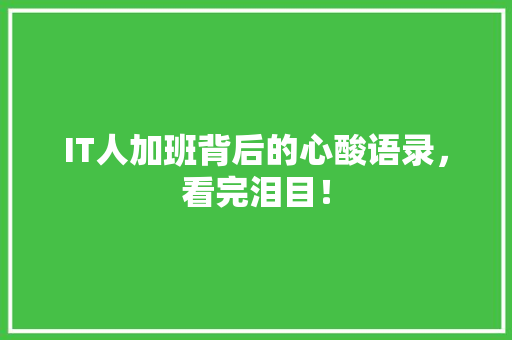IT人加班背后的心酸语录，看完泪目！ 必应SEO